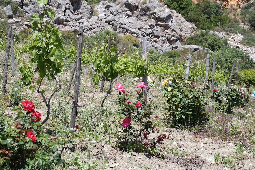 Casale Corcella Bed & Breakfast Scopello  Exterior photo